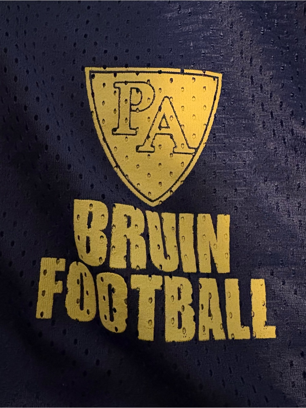 Men's BRUINS Navy Athletic Mesh Shorts with Bruins Football Logo